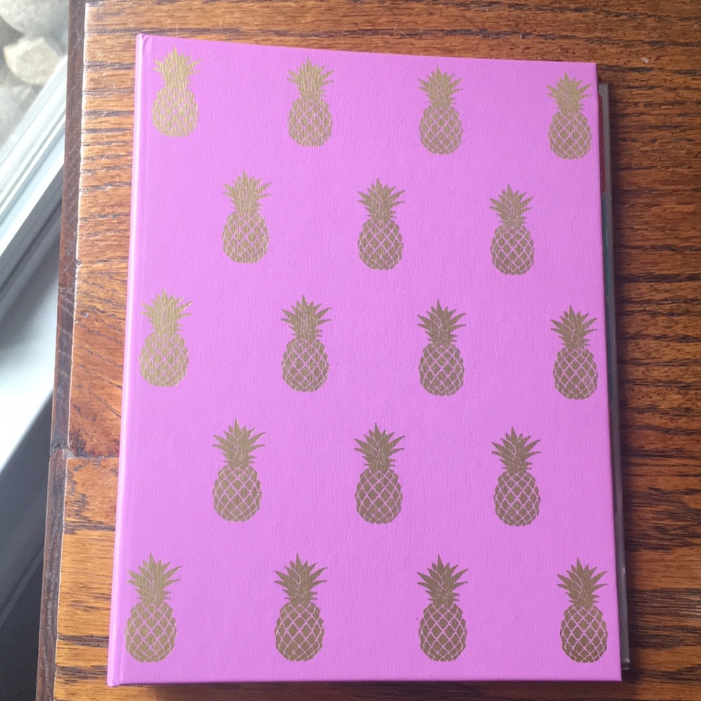 Purple/pink and gold pineapple mini 1” binder